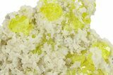 Striking Sulfur Crystals on Fluorescent Aragonite - Italy #282571-2